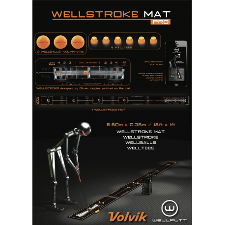 Гольф дорожка Wellstroke Mat Pro 5.5 м
